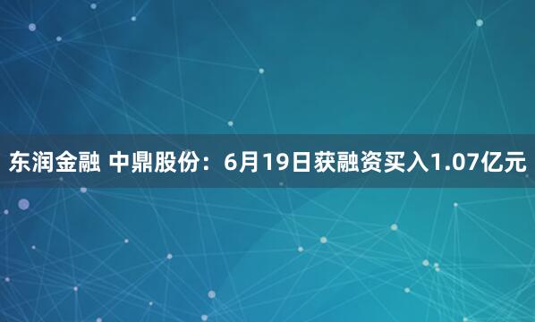 东润金融 中鼎股份：6月19日获融资买入1.07亿元