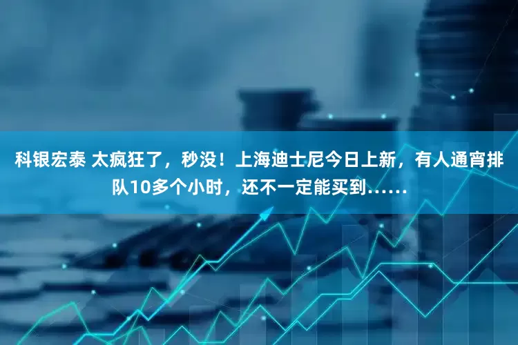 科银宏泰 太疯狂了，秒没！上海迪士尼今日上新，有人通宵排队10多个小时，还不一定能买到……