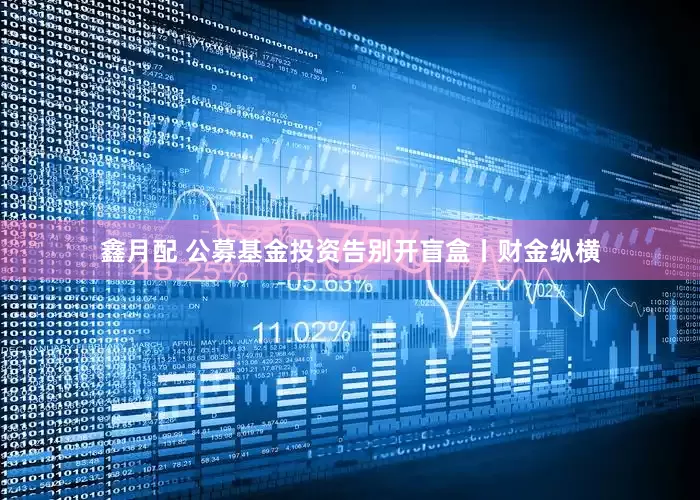 鑫月配 公募基金投资告别开盲盒丨财金纵横